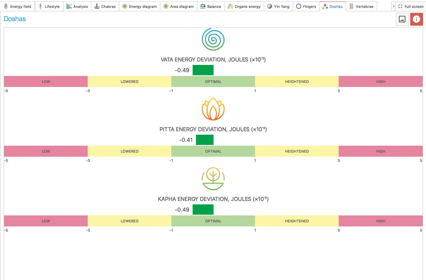 Bio-Well Professional Before & After Evaluation (In-Person)