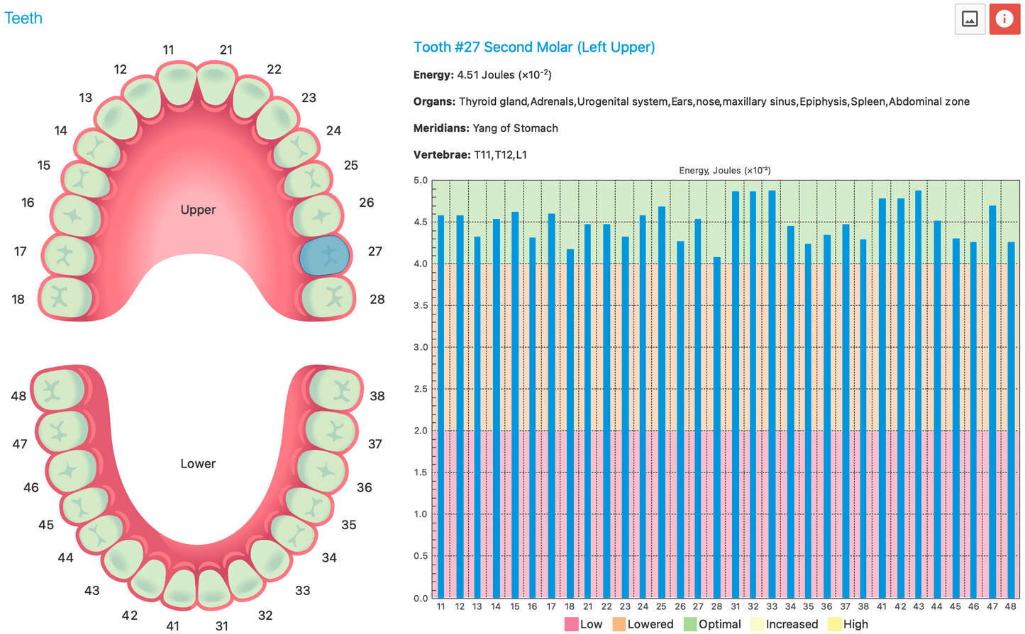 Dental Tab
